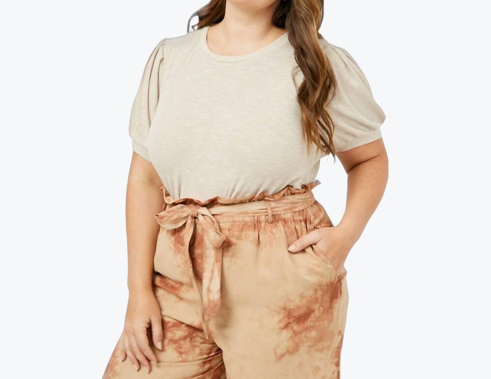 NEW HAYDEN LA kate crewneck tee in taupe